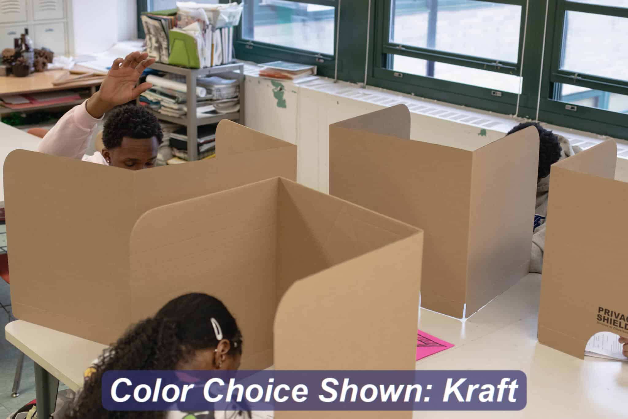 Classroom Privacy Shields Cardboard Study Carrel for Chromebooks