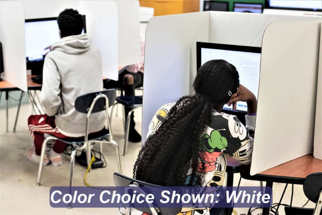 Computer Dividers Computer Privacy Shields for Secure Testing