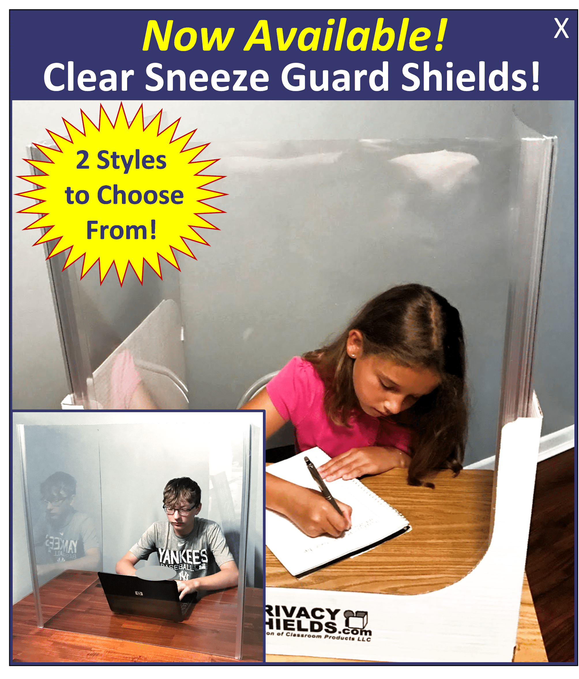 Computer Dividers Computer Privacy Shields for Secure Testing